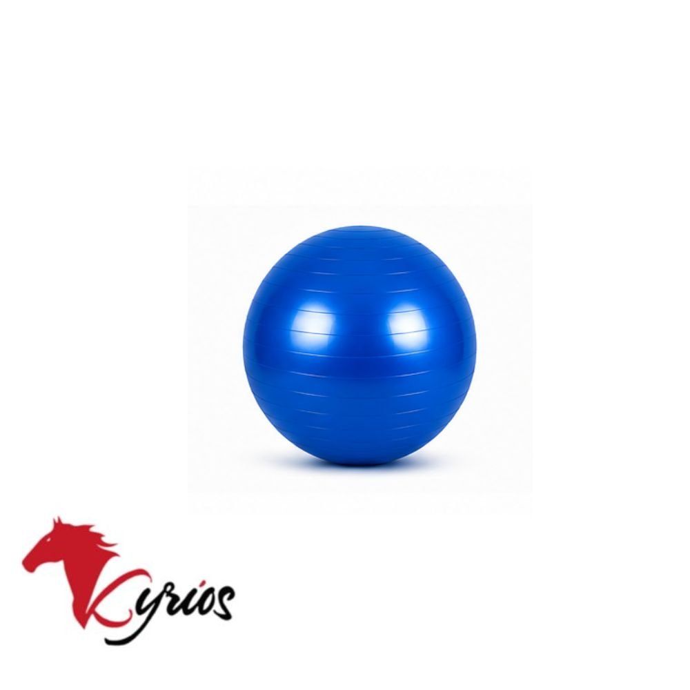 PELOTA DE PILATE DE 25 CM - Imagen 7