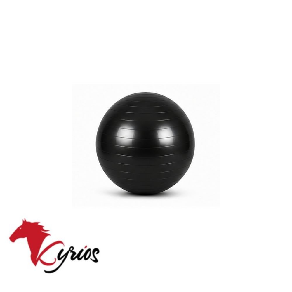 PELOTA DE PILATE DE 25 CM - Imagen 6