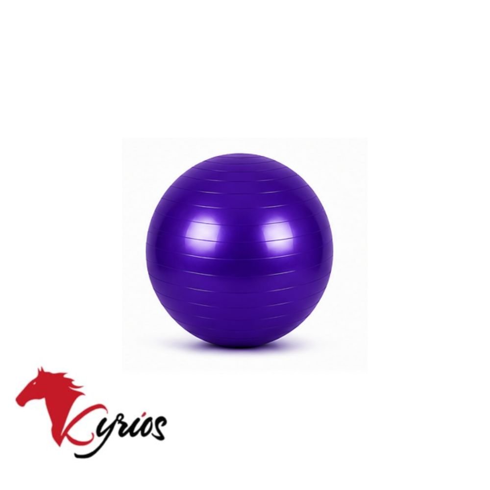 PELOTA DE PILATE DE 25 CM - Imagen 5