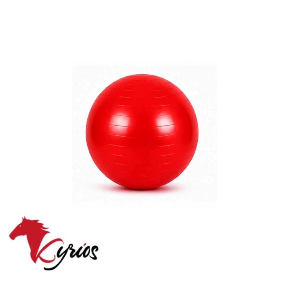 PELOTA DE PILATE DE 25 CM - Imagen 4