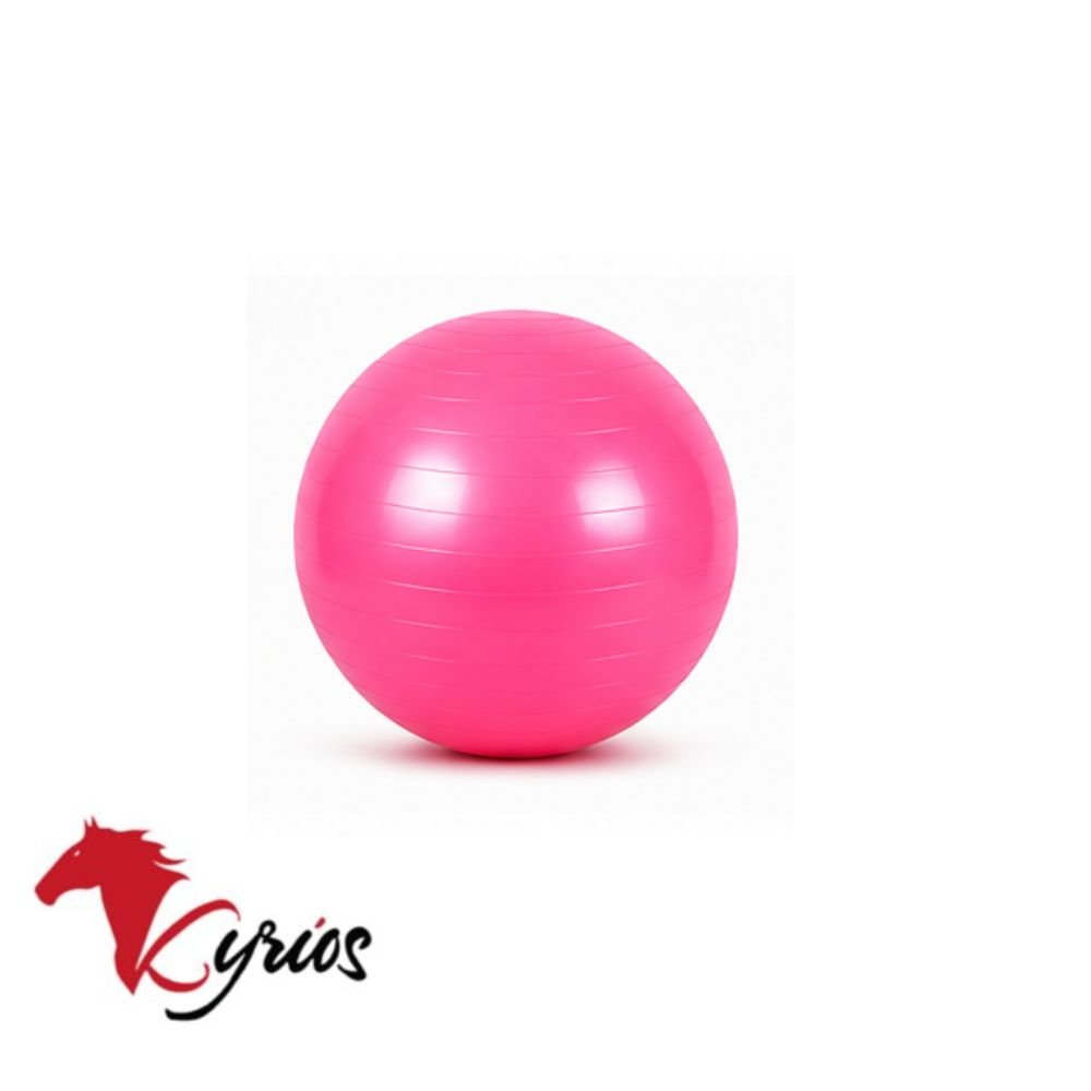 PELOTA DE PILATE DE 25 CM - Imagen 3